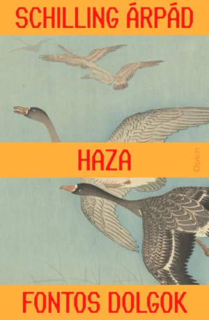 Schilling Árpád: Haza